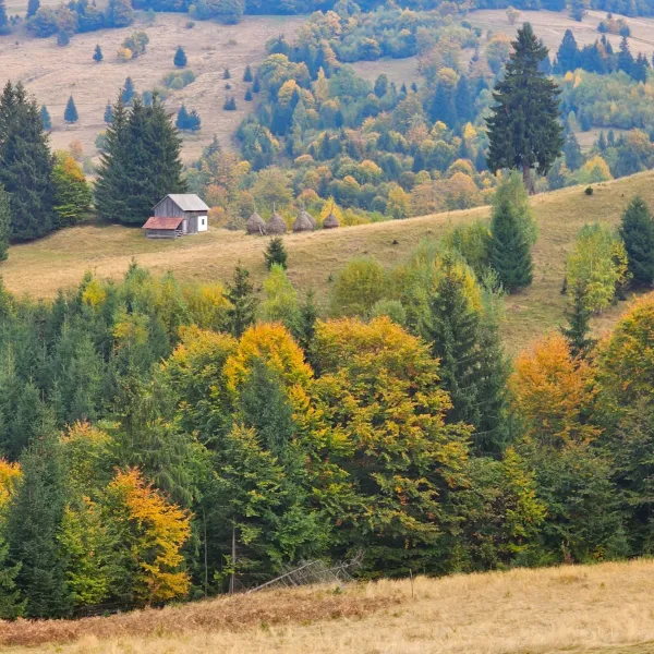Toamna pe Via Transilvanica