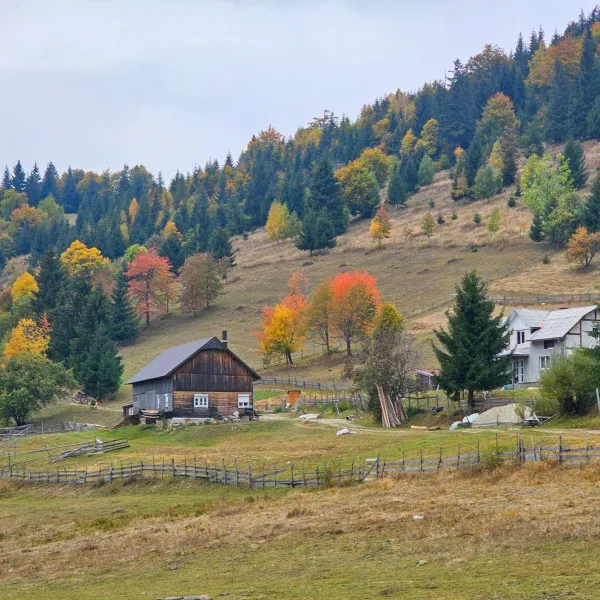 Toamna pe Via Transilvanica