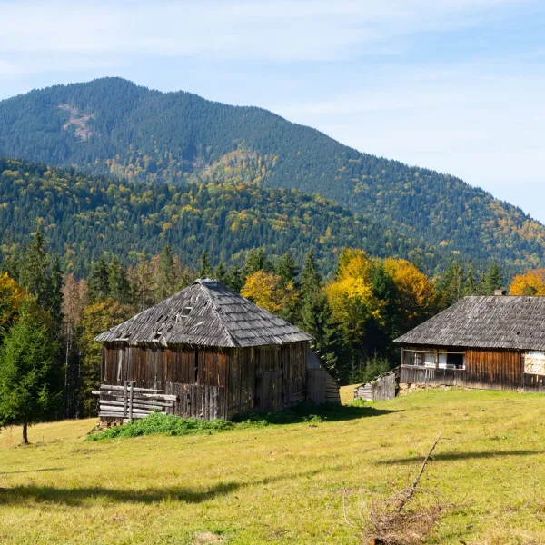 Toamna pe Via Transilvanica