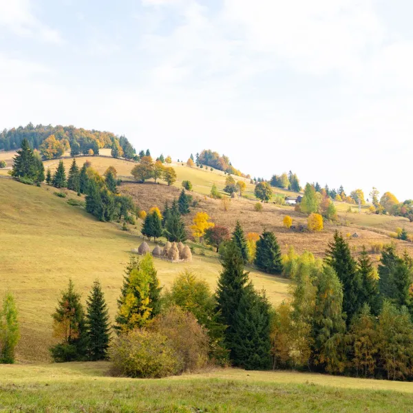 Toamna pe Via Transilvanica