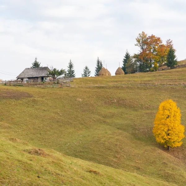 Toamna pe Via Transilvanica