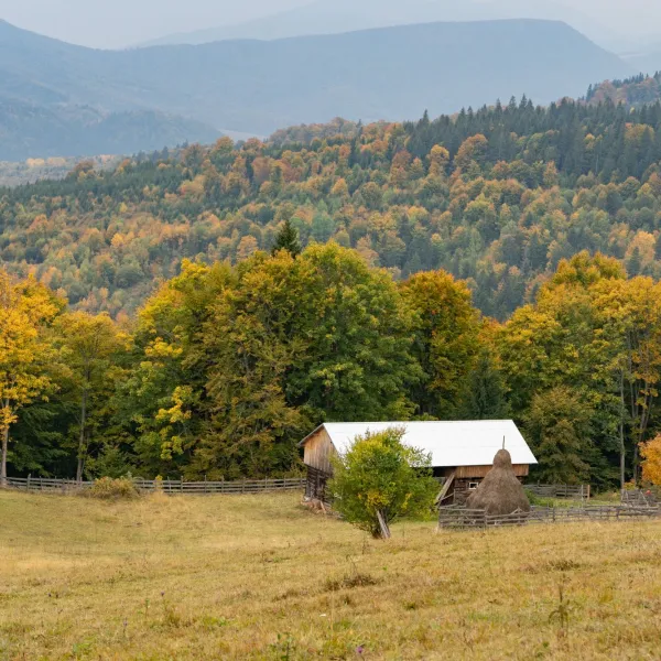 Toamna pe Via Transilvanica