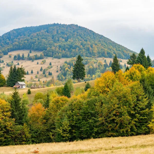Toamna pe Via Transilvanica