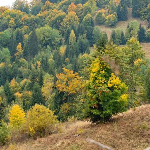 Toamna pe Via Transilvanica