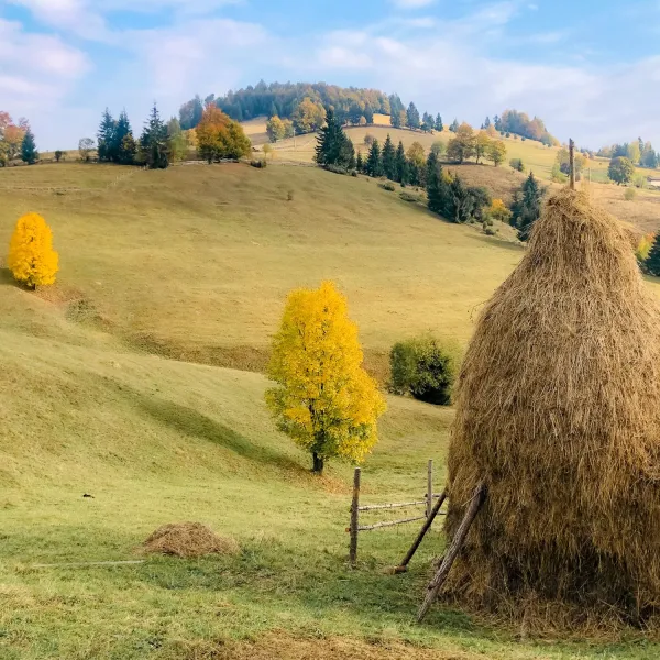 Toamna pe Via Transilvanica