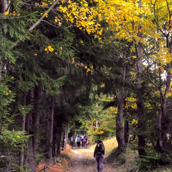 Toamna pe Via Transilvanica