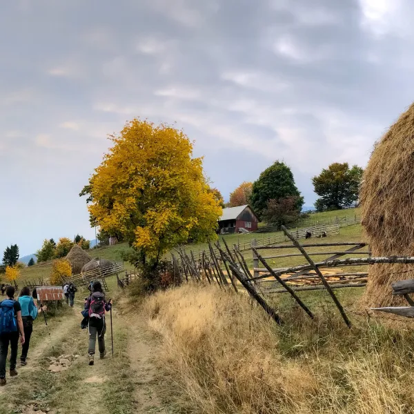Toamna pe Via Transilvanica