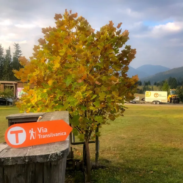 Toamna pe Via Transilvanica