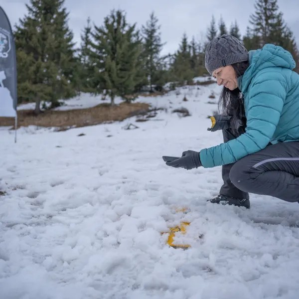 Strategii de cautare in avalansa PIEPS 2024
