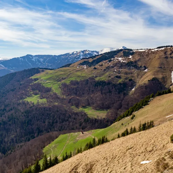 Rodnei