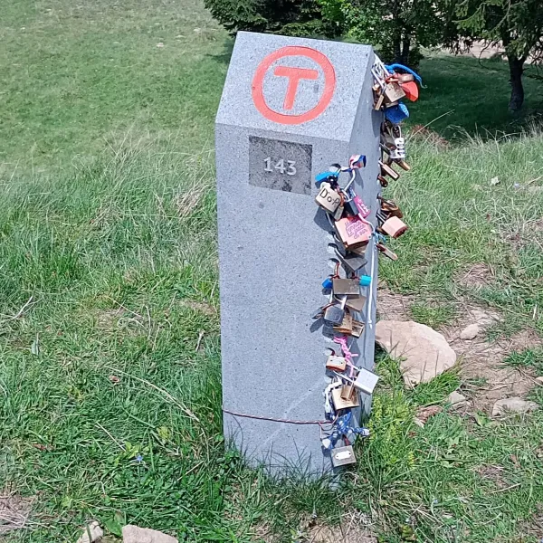 Borna cu lacăte