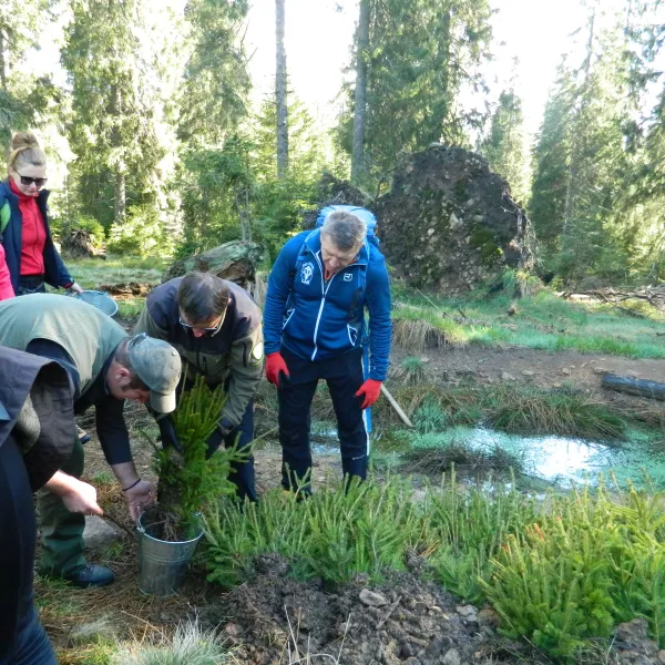 suntem atenti sa nu lasam radacinile puietilor sa se usuce