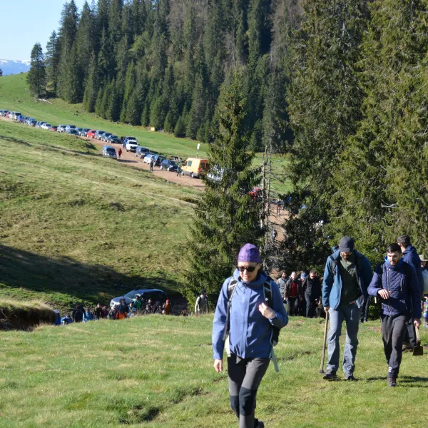 in drum spre zona de plantat