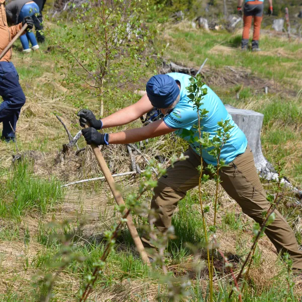 oricat ar fi solul de greu, respectam tehnologia de plantare