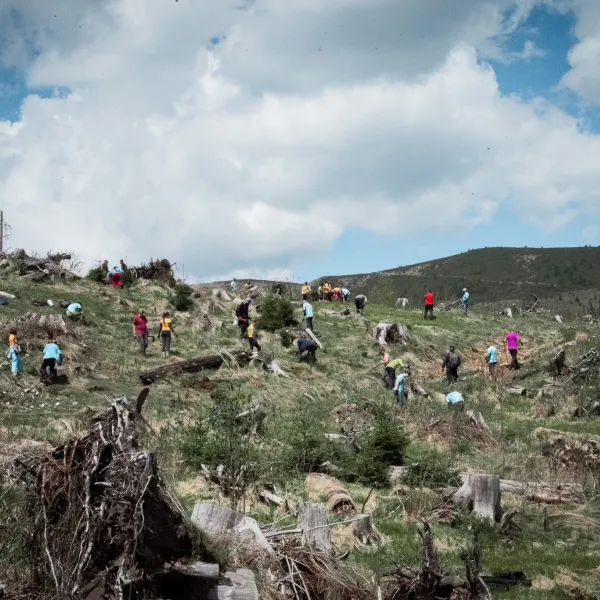 zona afectata de doboraturi de vant