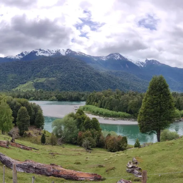 Patagonia
