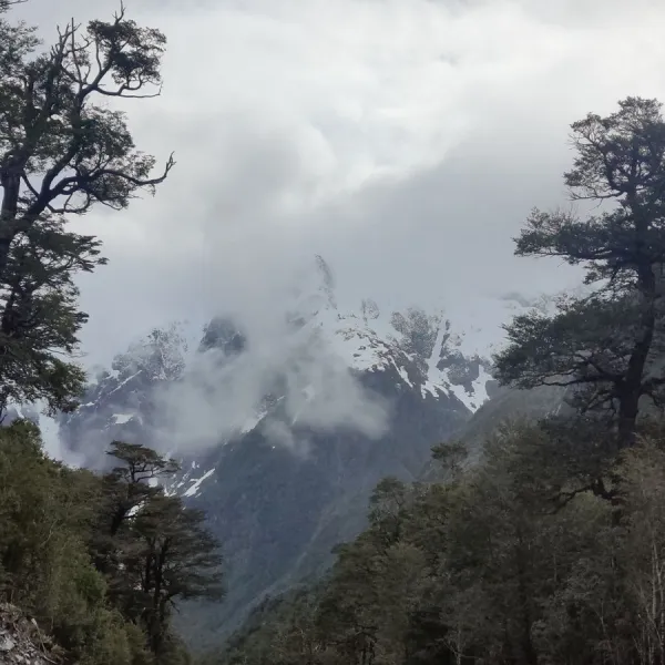 Patagonia