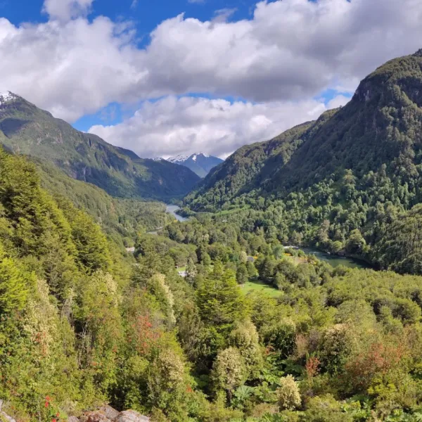 Patagonia