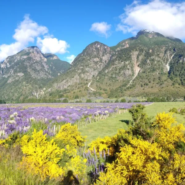 Patagonia