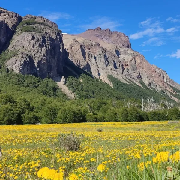 Patagonia