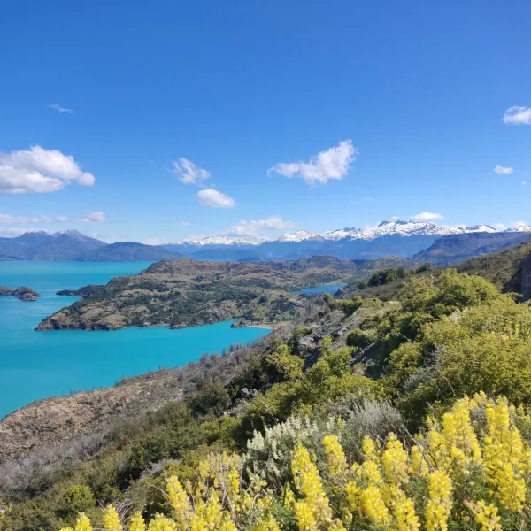 Patagonia