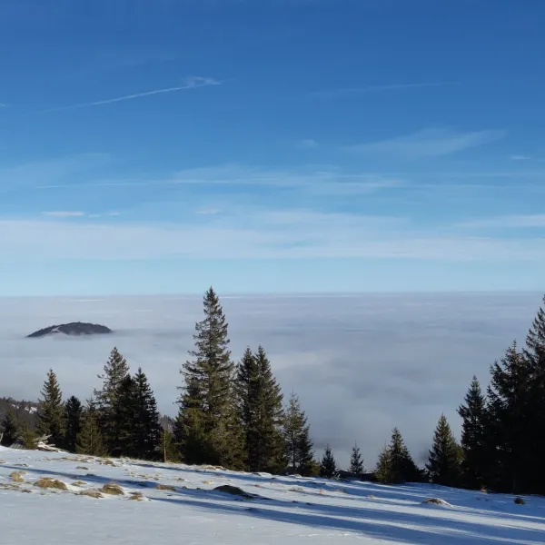 ski