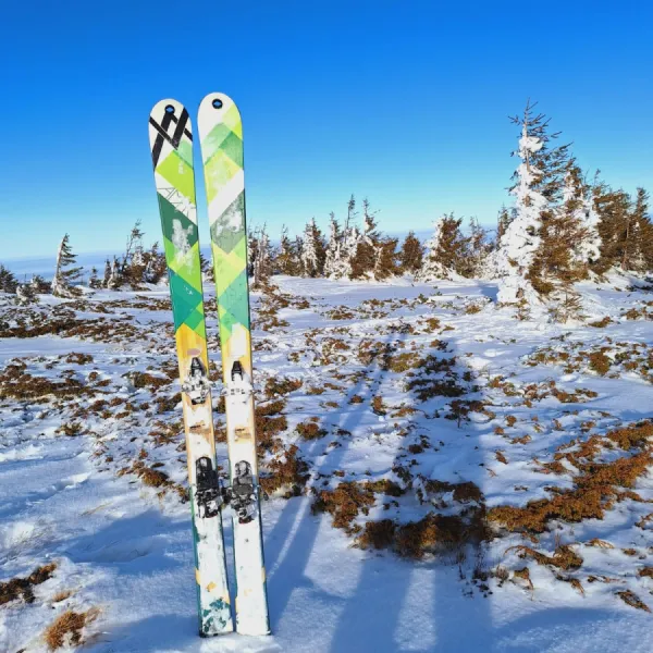 ski
