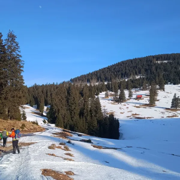 Bihor-Vlădeasa
