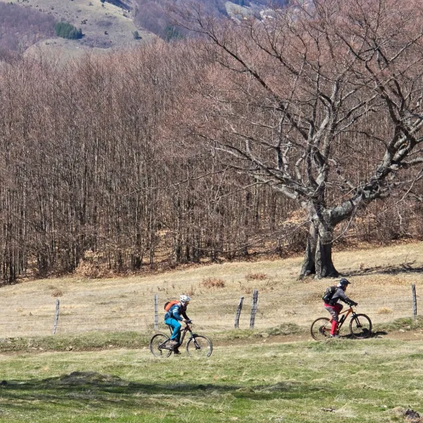 Spre al doilea punct de belvedere