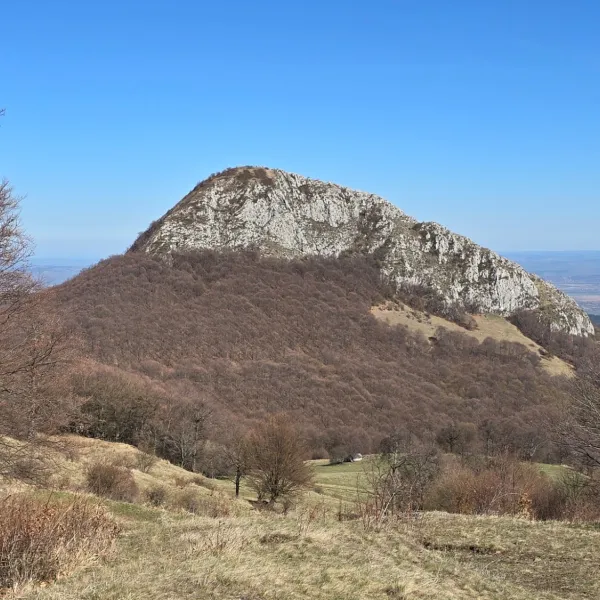 Piatra Craivii