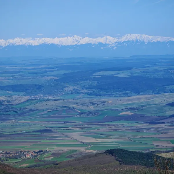 Cu lupa pe Fagaras