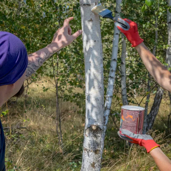 infrastructură montană