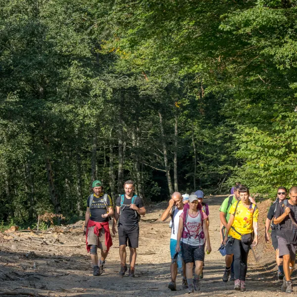 infrastructură montană
