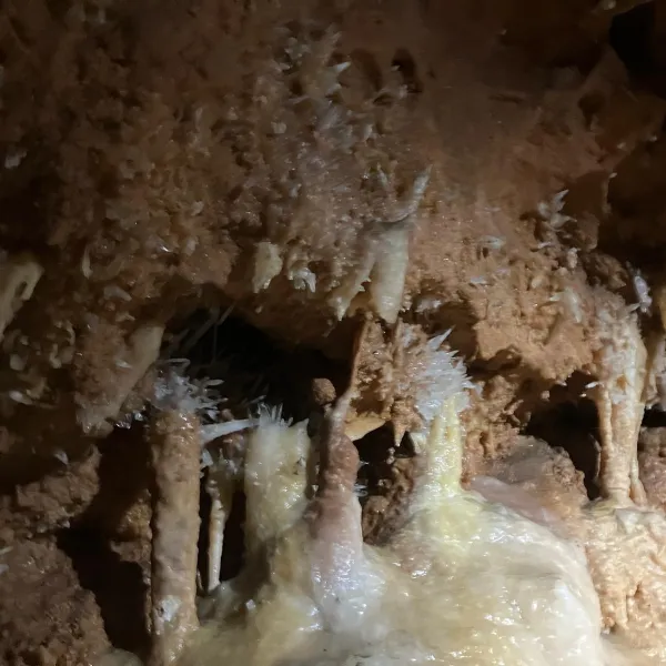Pestera 7