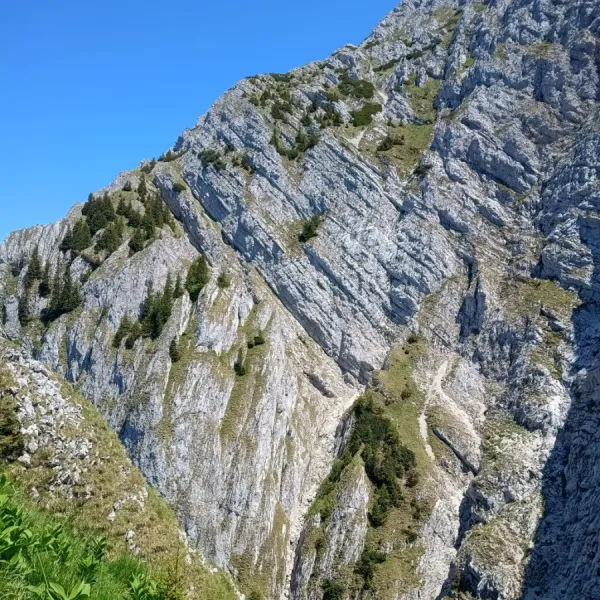 Piatra Craiului