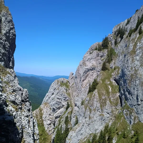 Piatra Craiului