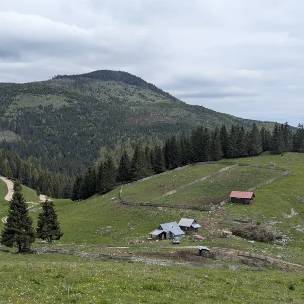 Vedere de pe drumul spre Padis dinspre IC Ponor