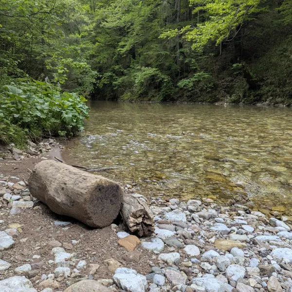 Valea Gardisoarei