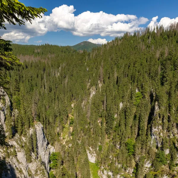 @Christine Banciu Balcoane Cetati 