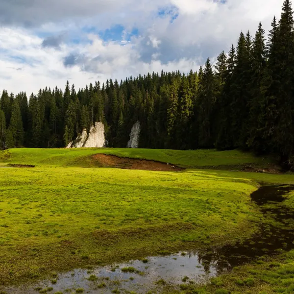 @Christine Banciu Portal Poiana Ponor