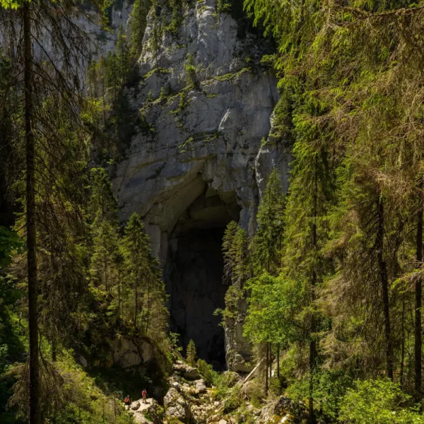 @Christine Banciu Portal Cetatile Ponorului