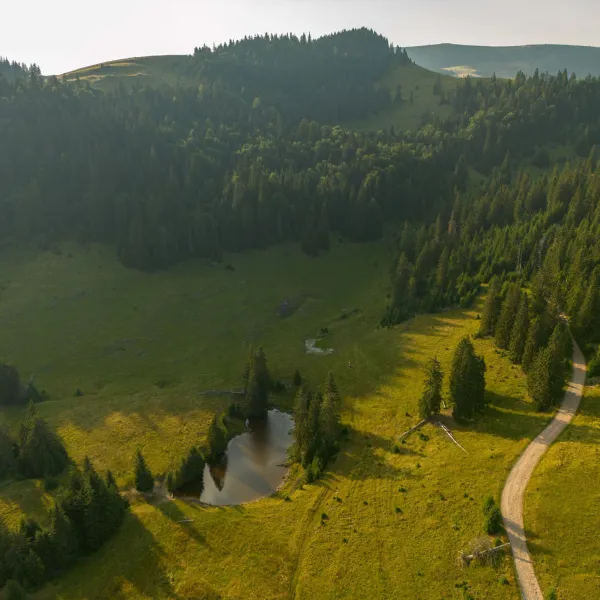 @Christine Banciu Platou Vărășoaia