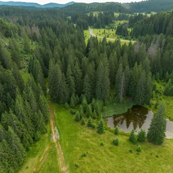 @Christine Banciu Padiș