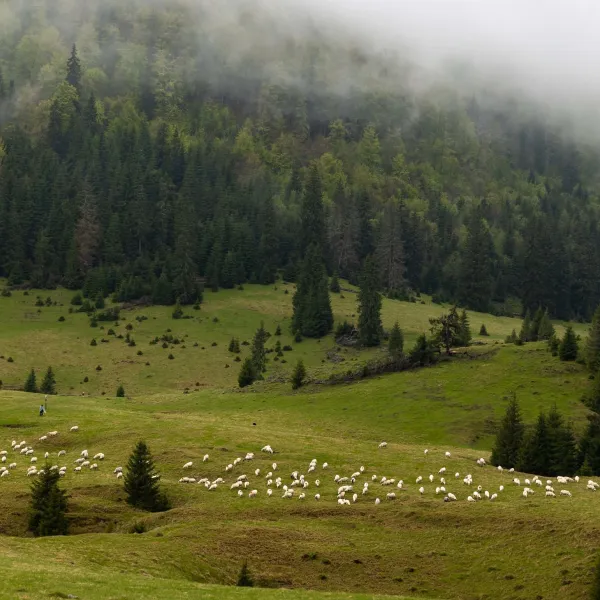 @Christine Banciu Padiș 2