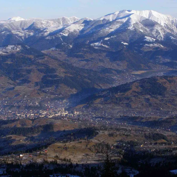 5.%2Bborsa%2Bsus%2B%252B%2Btoroioaga.JPG
