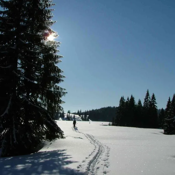 DSCF9063.JPG