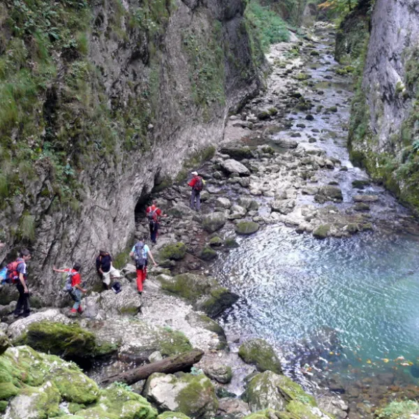 P1110242.JPG