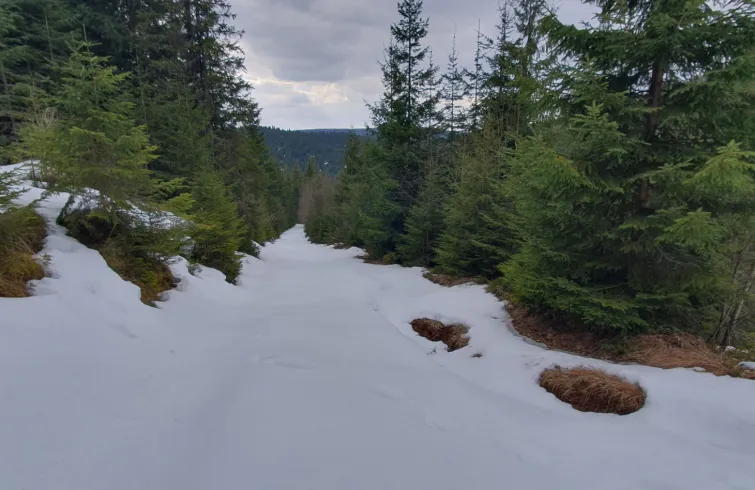 Drumetie prin catune de vara  la Maguri-Racatau